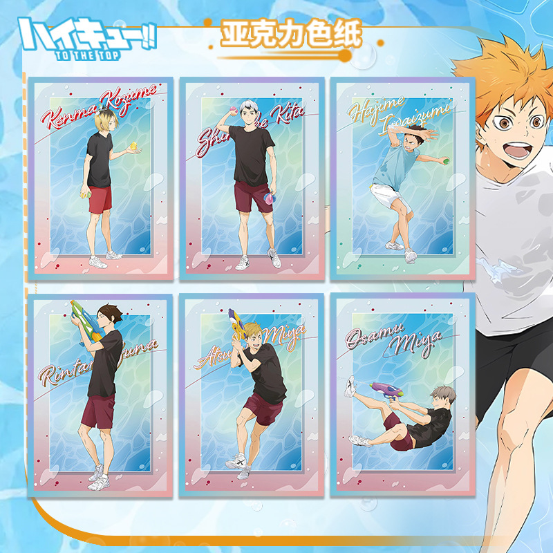 Haikyuu voleibol Anime acrílic - Anime Merchandise Haikyuu reseña y precio