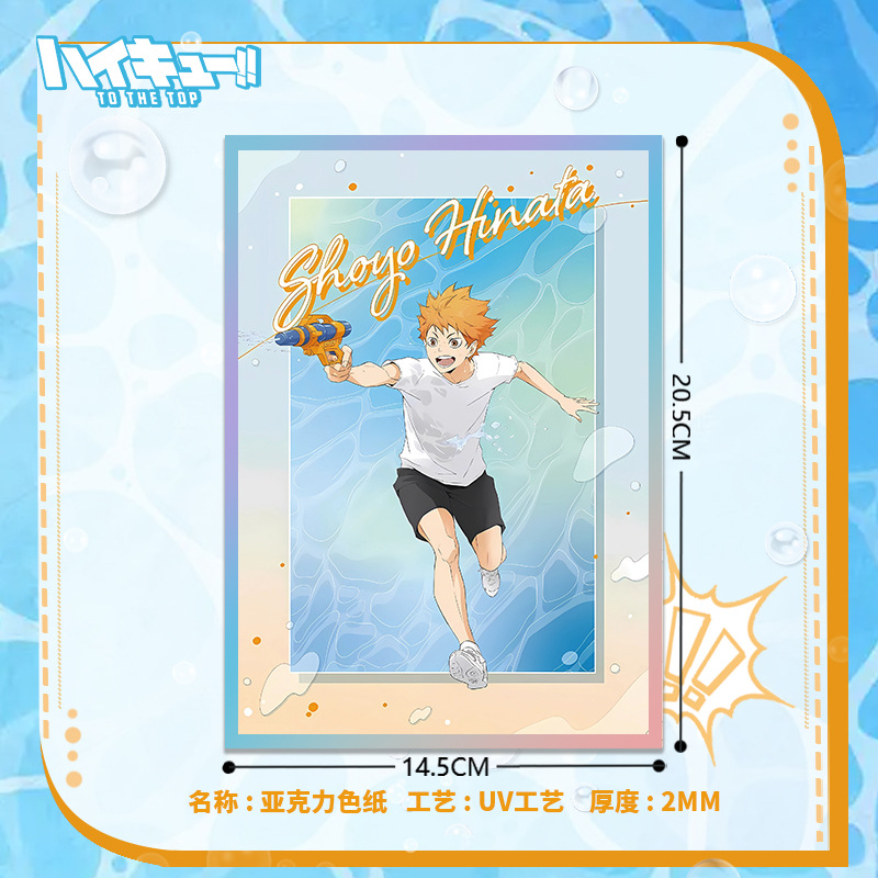 Haikyuu voleibol Anime acrílic - Anime Merchandise Haikyuu reseña y precio