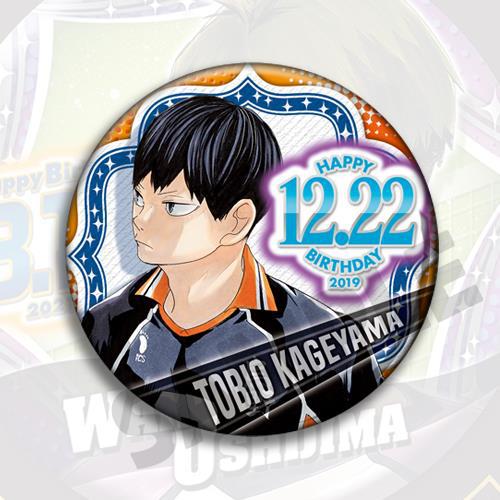 Pin de Colección de Anime Haik - Anime Merchandise Haikyuu reseña y precio